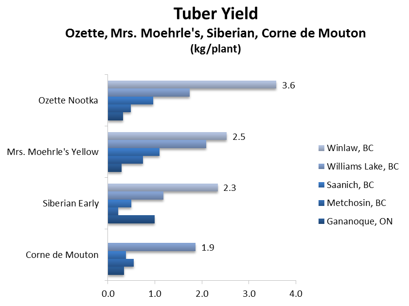 Tuber yields per plant of four varieties grown in five locations in 2013.