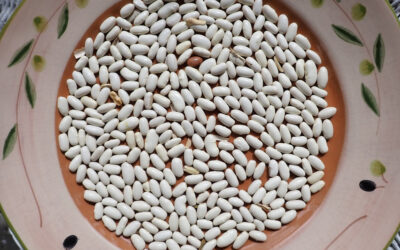Cannellini Bean:  A Taste of Italy